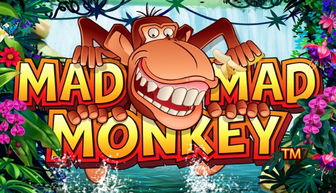 Mad Mad Monkey